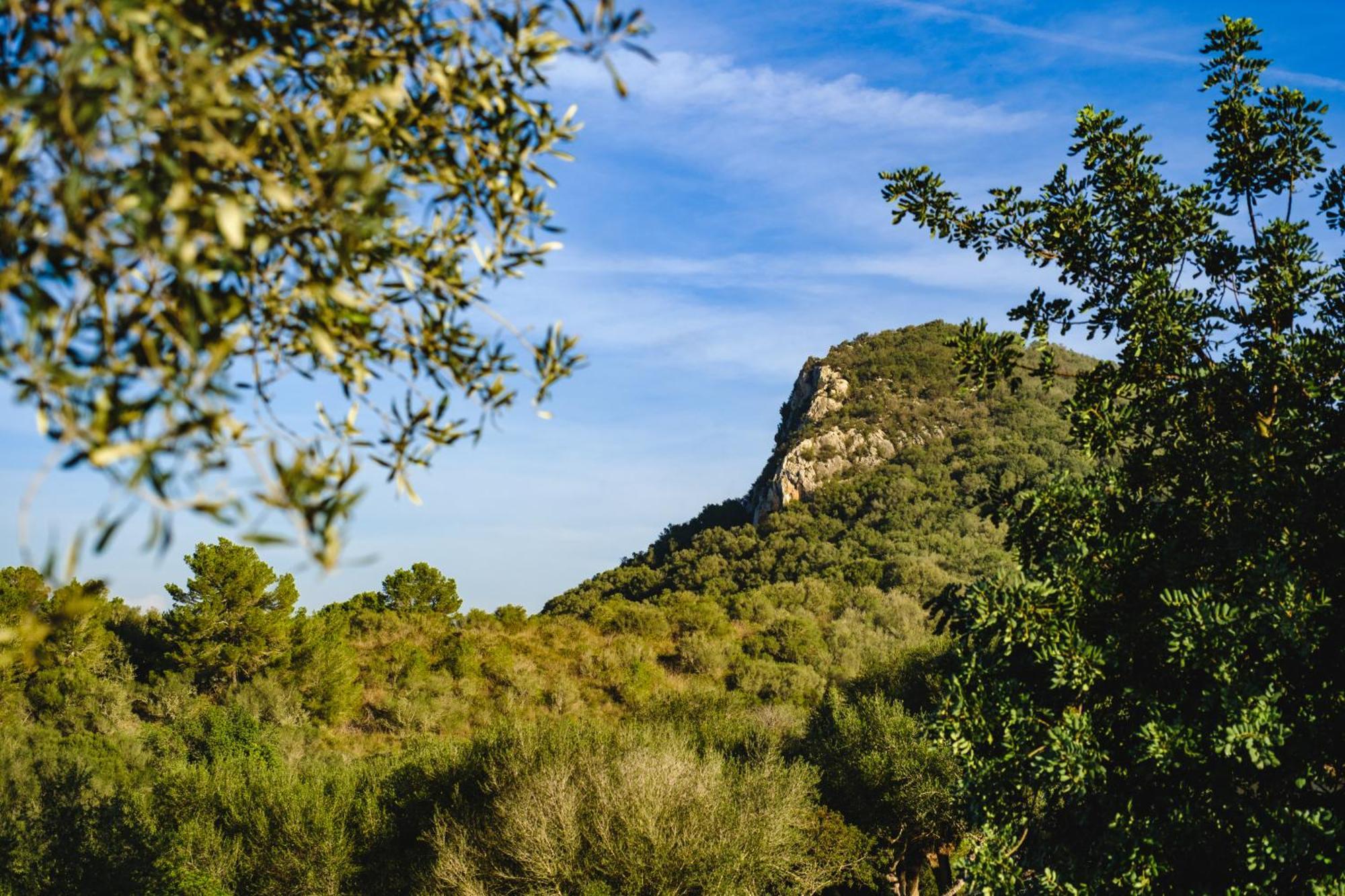 Finca Sa Bastida Luxury Retreat & Spa Adults Only Sant Joan Экстерьер фото