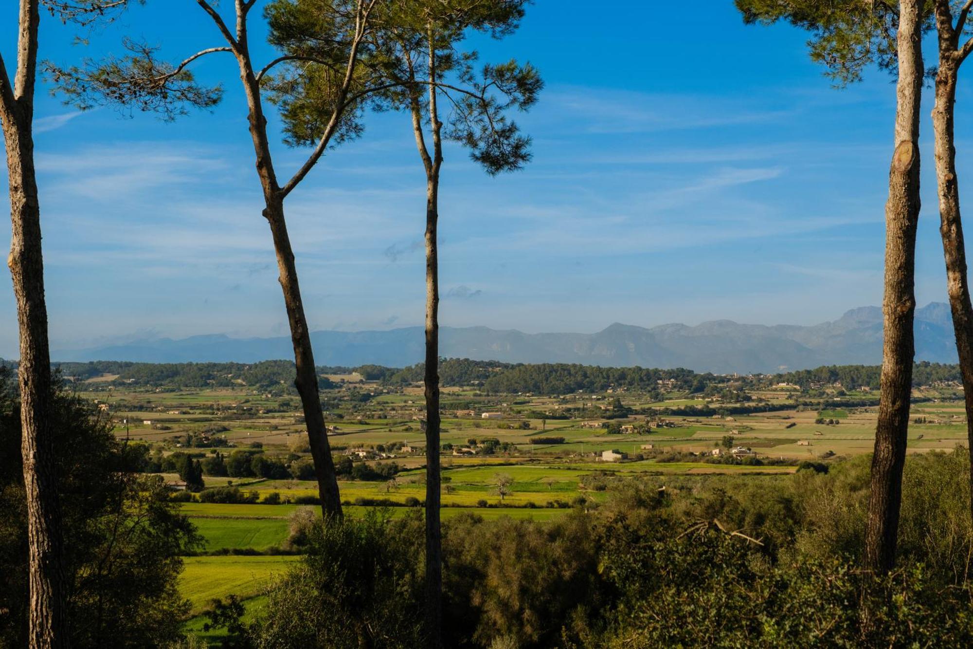 Finca Sa Bastida Luxury Retreat & Spa Adults Only Sant Joan Экстерьер фото